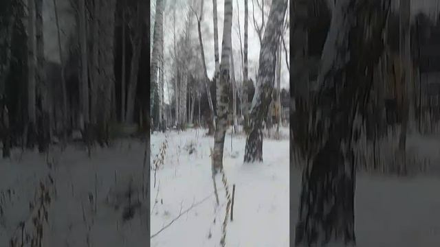 VID-20241212-WA0020