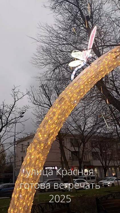 Краснодар: гуляем вечером по Красной 12 декабря 2024 +1С #crismas #галицкий #красная,  #krasnodar