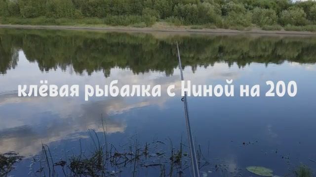 Окуни были с утра, а фидер днëм не работал. _Клëвая рыбалка с Ниной на 200_.