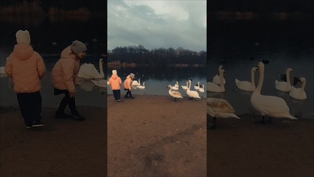 1000011634.mp4
