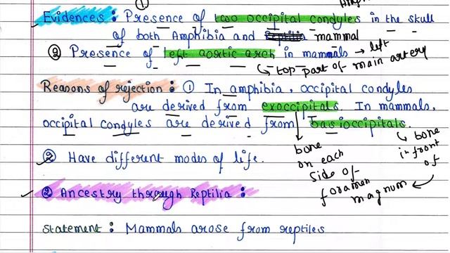 Origin of mammals