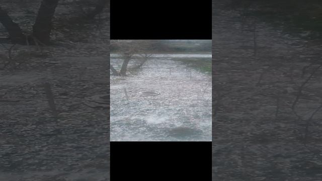 VID_20241213_080907.mp4