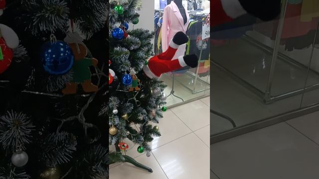 прикол на ёлке