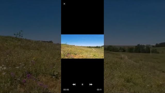 VID_20241212_180253_809