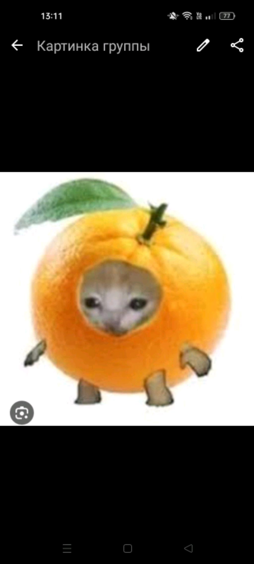 привет