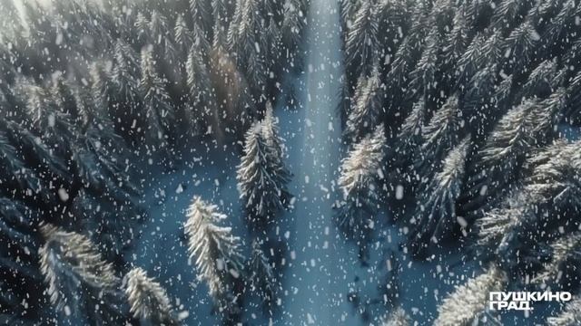 «Пушкино Град» к нам приходит! ❄️