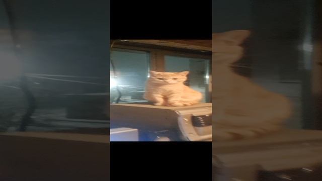 1000040901.mp4