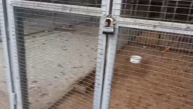 Пятница 13.12.2024.mp4