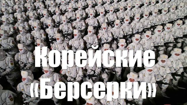 В Курской области назвали северокорейских военных «берсерками»