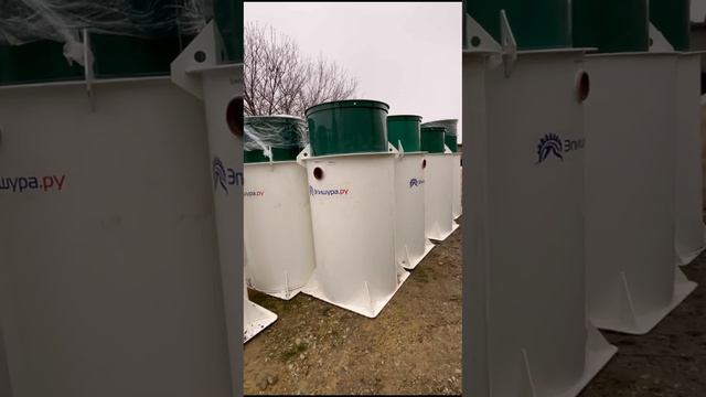 Эпишура уже в Краснодарском крае