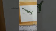 cutting and its types