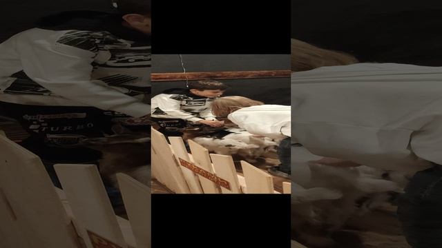 Кафе КозLOVE с миникозами в Сочи