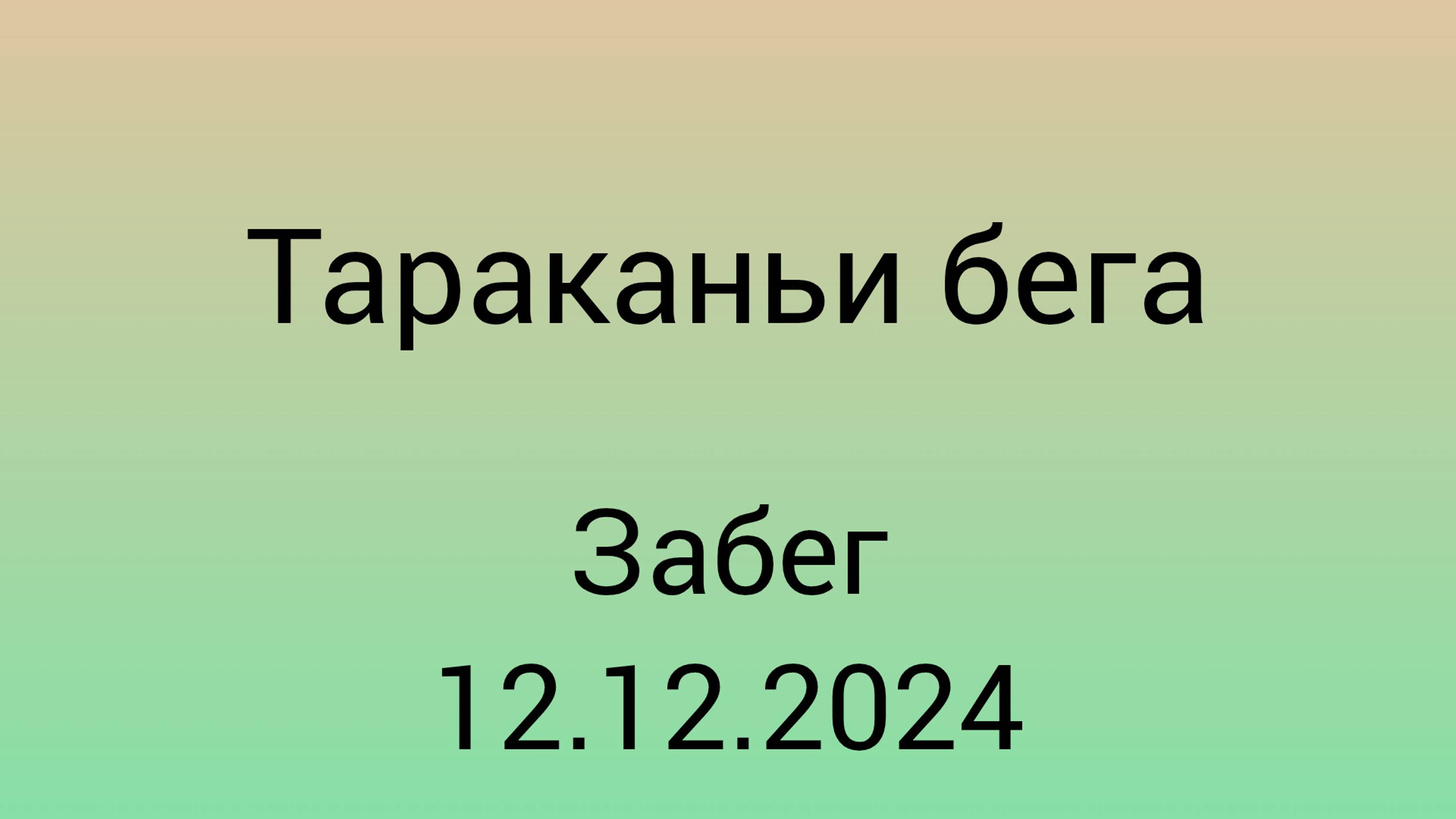 Тараканьи бега . Забег 12.12.2024