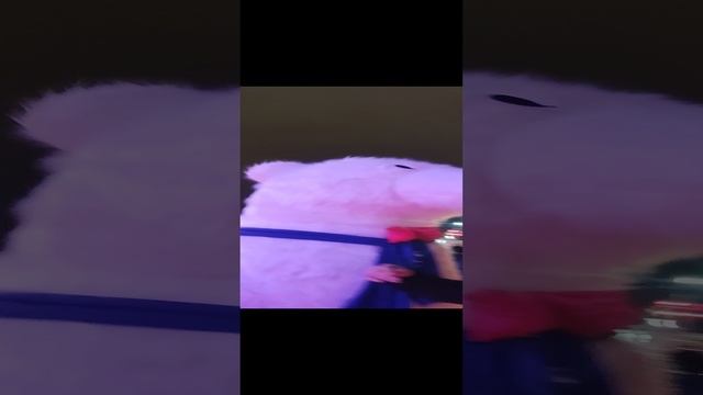 1000095817.mp4