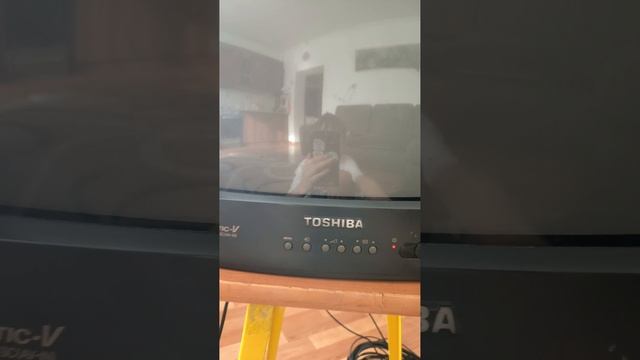 1000035043.mp4