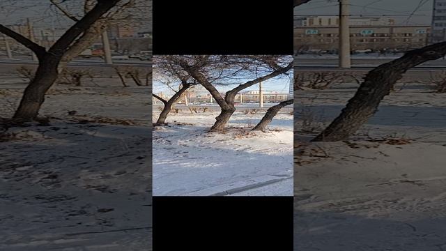 Из Р. Белларусь в Р Бурятия . Не большое на блюдение
