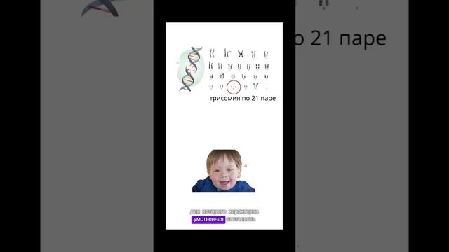 КАКОЕ МАКСИМАЛЬНОЕ КОЛИЧЕСТВО ХРОМОСОМ У ЧЕЛОВЕКА? #медицина #генетика