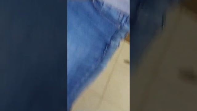 Воспоминания о волонтерстве в приюте#котики #милота