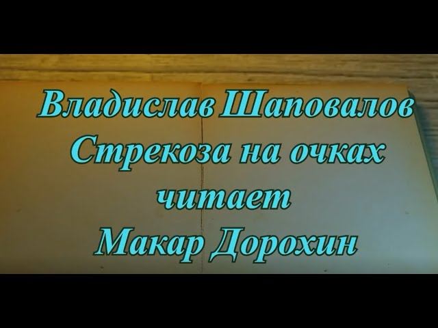 Владислав Шаповалов.  Стрекоза на очках. Читает Макар Дорохин