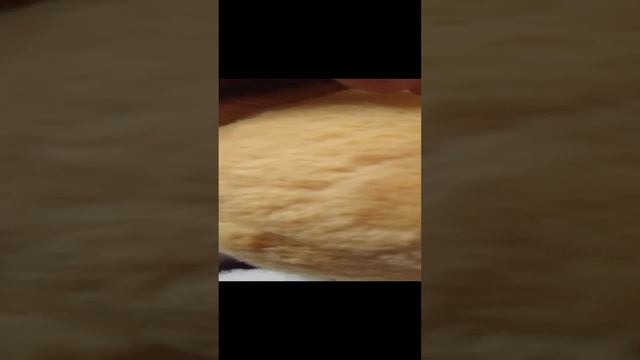 на меня напало существо