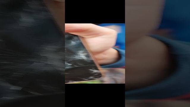 На нашем новом доме в деревне!