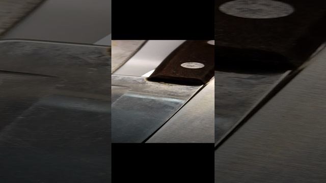 1000030267.mp4