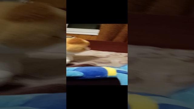 Слендермен существует