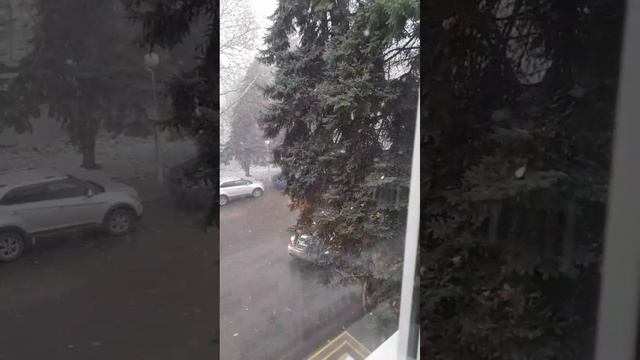 В Кореновске на Кубани 13 декабря  выпал первый снег