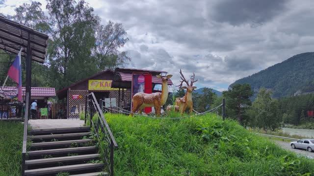 Рынок на Чуйском тракте