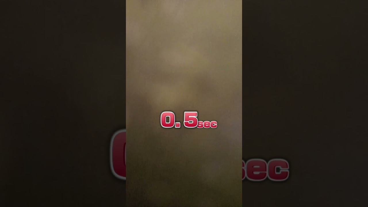 13 декабря 2024 г.