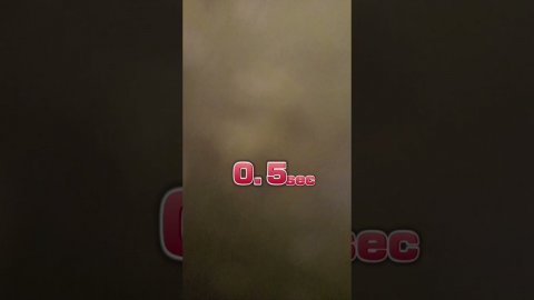 13 декабря 2024 г.