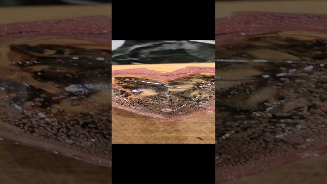 VID_20241213_001705.mp4