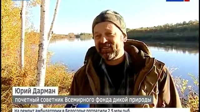 Репортаж “Строго на юг“