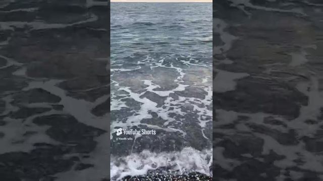 #shorts #shortvideo