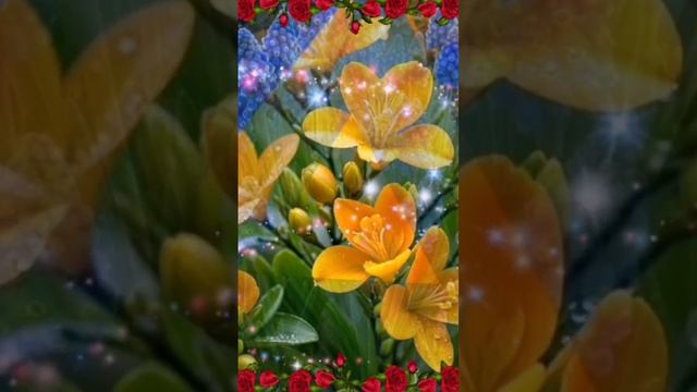 Video.Guru_20241213_003846609.mp4