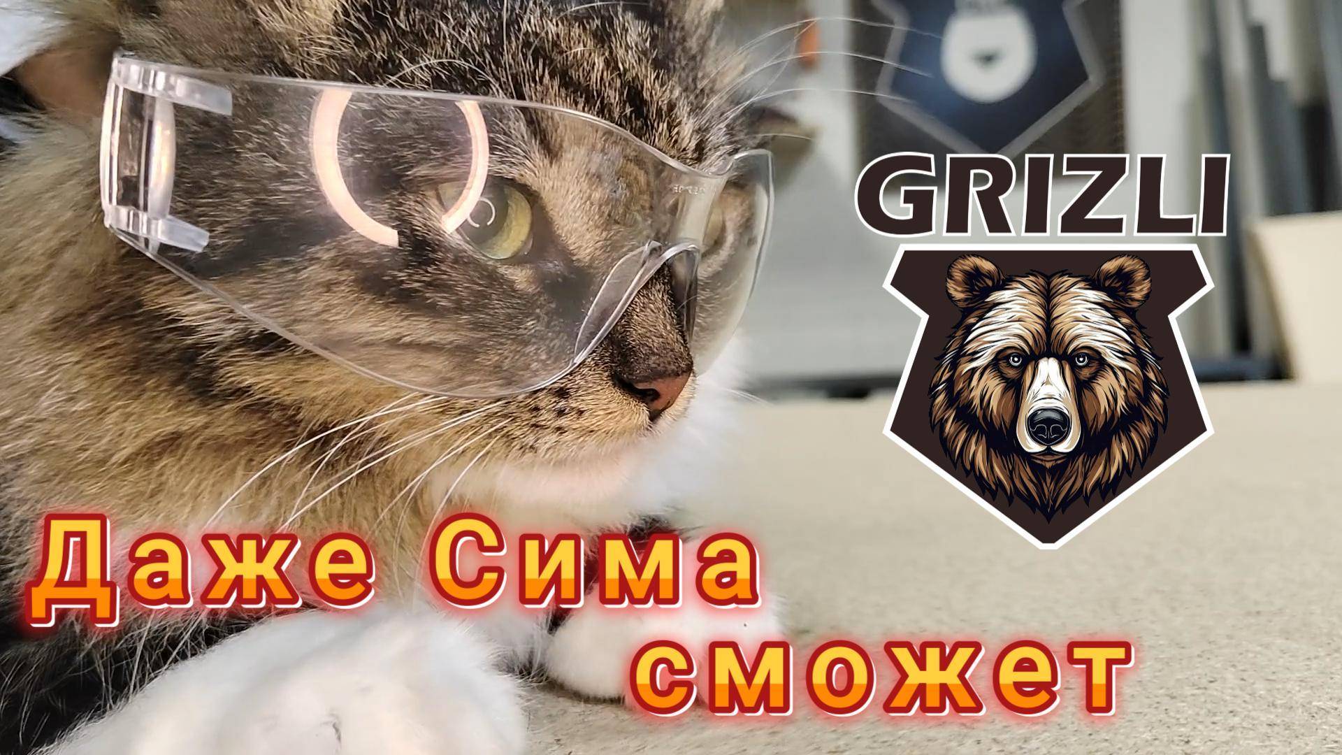 Кошка Сима и ЧПУ