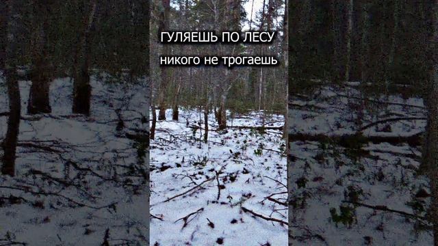 И тут вдруг...