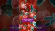 Belly Nerve Cells - The Gut: Our Second Brain