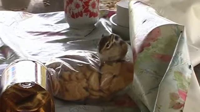 ФГБУ "Государственный природный заповедник"Норский"