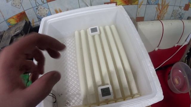 Выводы по инкубации , доделываю инкубатор