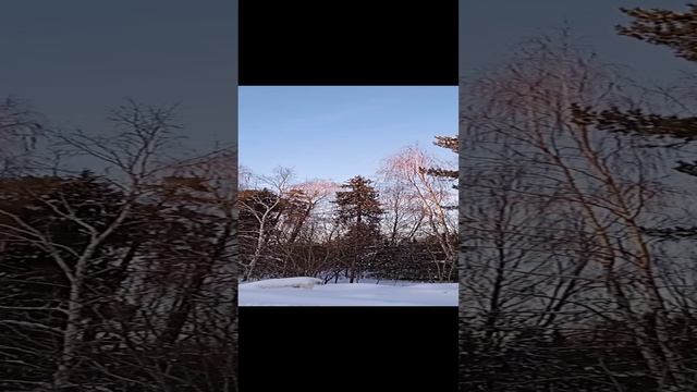 VID_20240119_160625~3.mp4