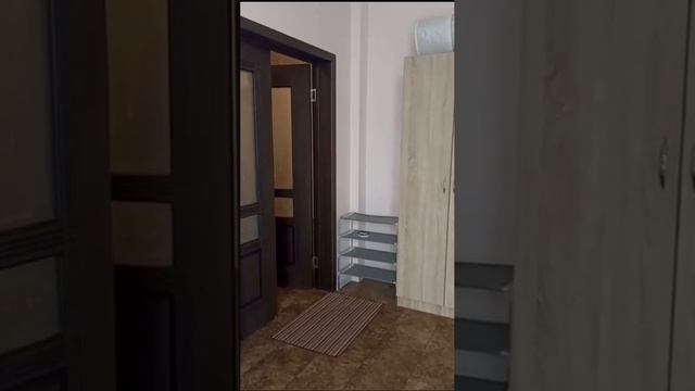 Видео WhatsApp 2024-12-13 в 14.10.31_afc22a96