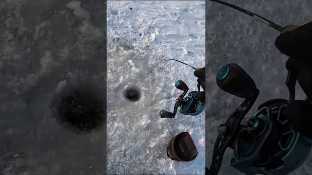 1000014090.mp4