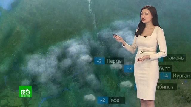 Евгения Неронская Эфир от 12.12.2024