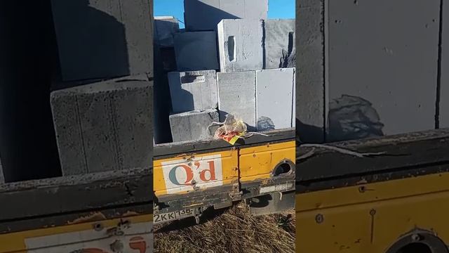 Уронил груз считаем убытки.