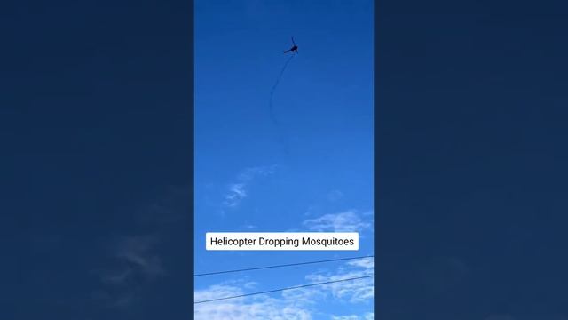 с вертолетов сбрасывают комаров.США