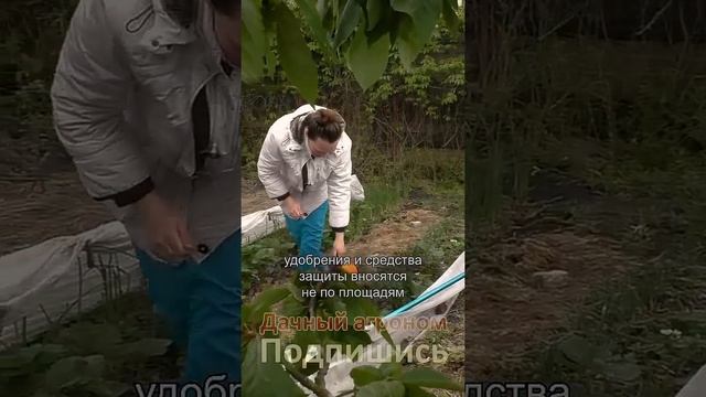 ОГОРОД БУДУЩЕГО! ВОТ почему ПОСТОЯННЫЕ ГРЯДКИ так ПОПУЛЯРНЫ