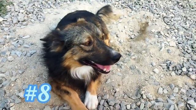 Топ 10 фактов про ДжонаДжона чуть ли не разорвали?