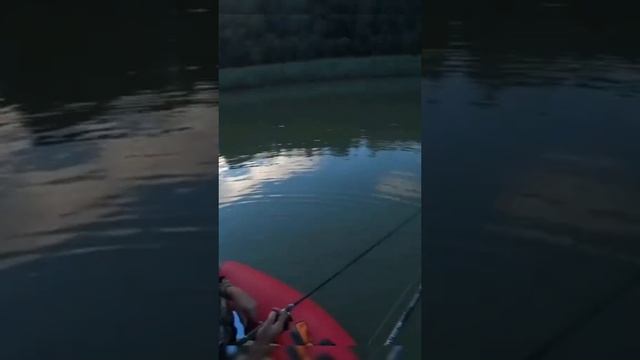 1000014086.mp4