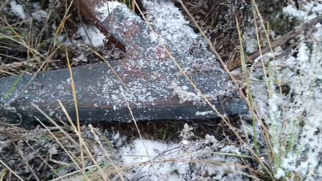 Культиватор КПС-4  экспресс-обзор от Андрея Абросимова